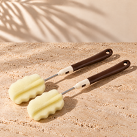 2 cleaning brushes