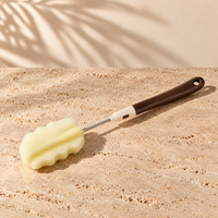 Cleaning brush
